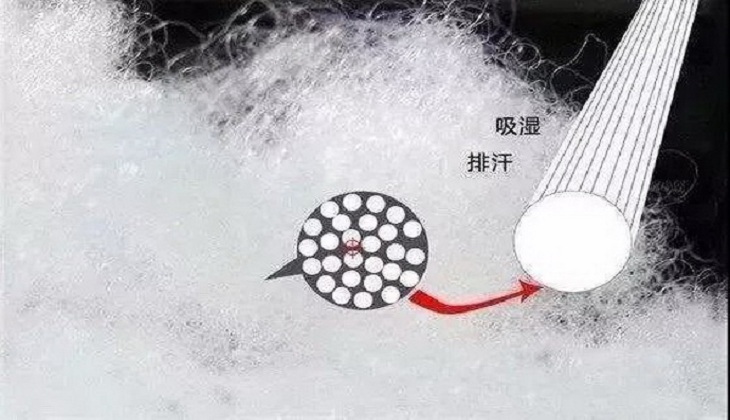 20190813212589218921.jpg 20190813212589218921.jpg